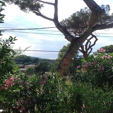 Studio Villa Le M Six-Fours-les-Plages Esterno foto