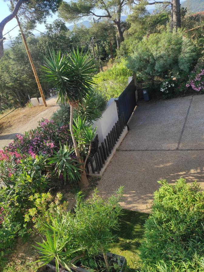 Studio Villa Le M Six-Fours-les-Plages Esterno foto