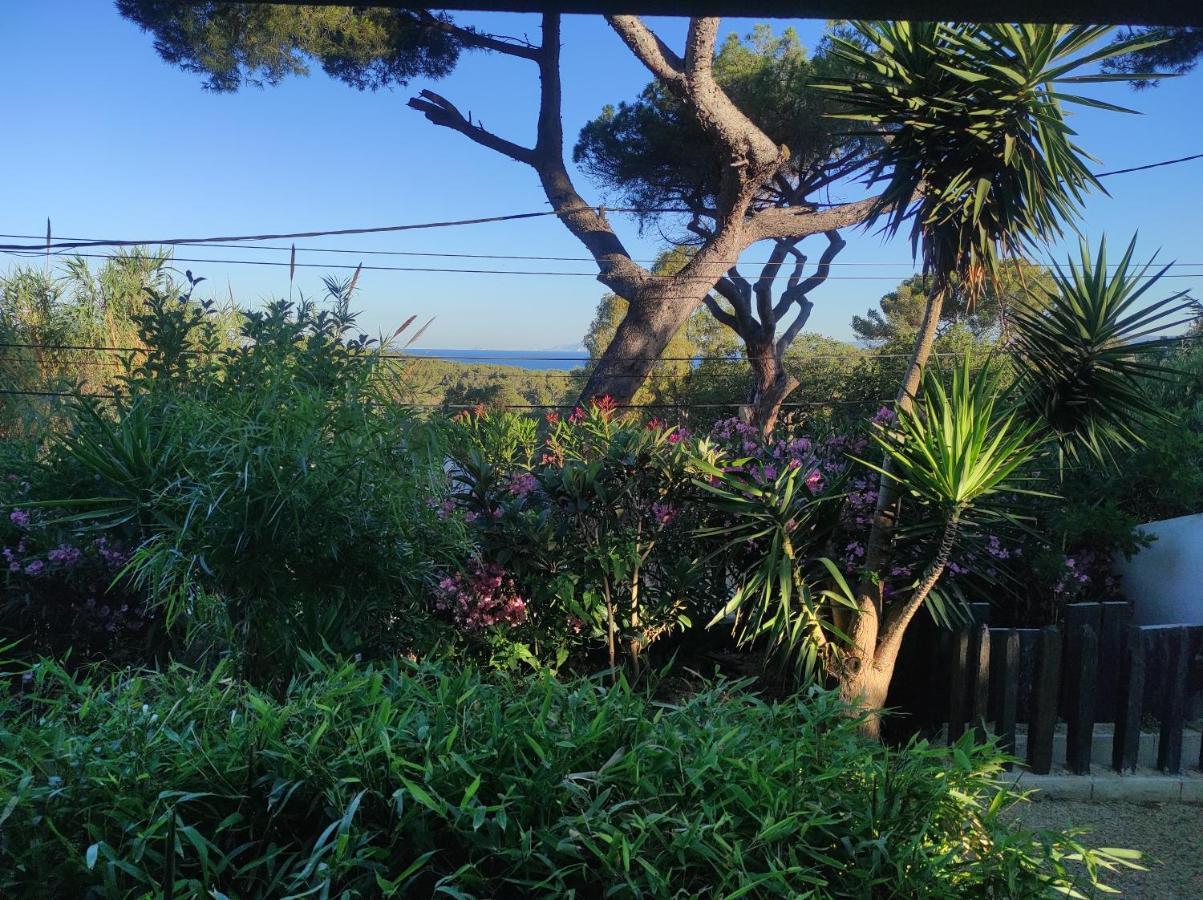 Studio Villa Le M Six-Fours-les-Plages Esterno foto